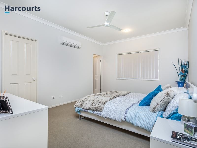 8 Brushtail Street, North Lakes QLD 4509