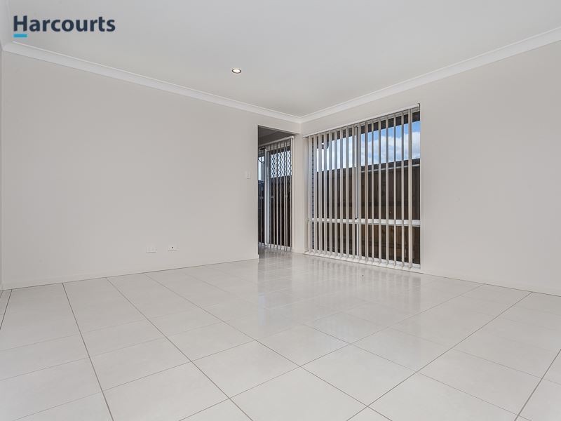 29 Jones Street, Rothwell QLD 4022