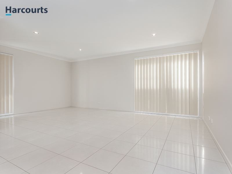29 Jones Street, Rothwell QLD 4022