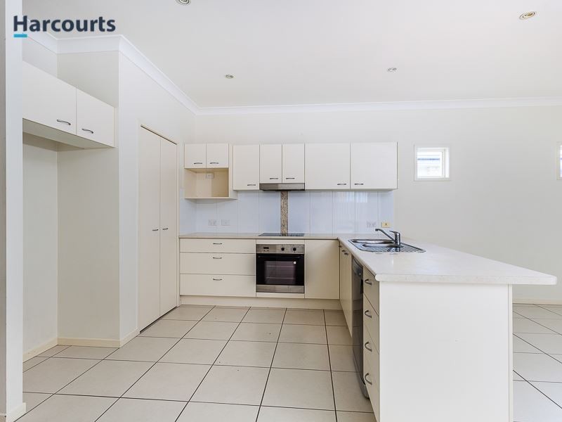 9 Silkyoak Court, North Lakes QLD 4509