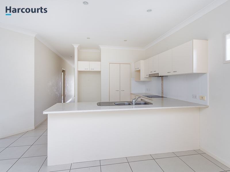 9 Silkyoak Court, North Lakes QLD 4509