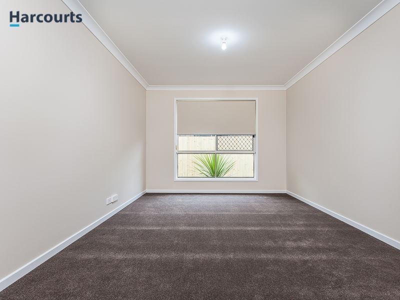 22 Gibson Street, Mango Hill QLD 4509