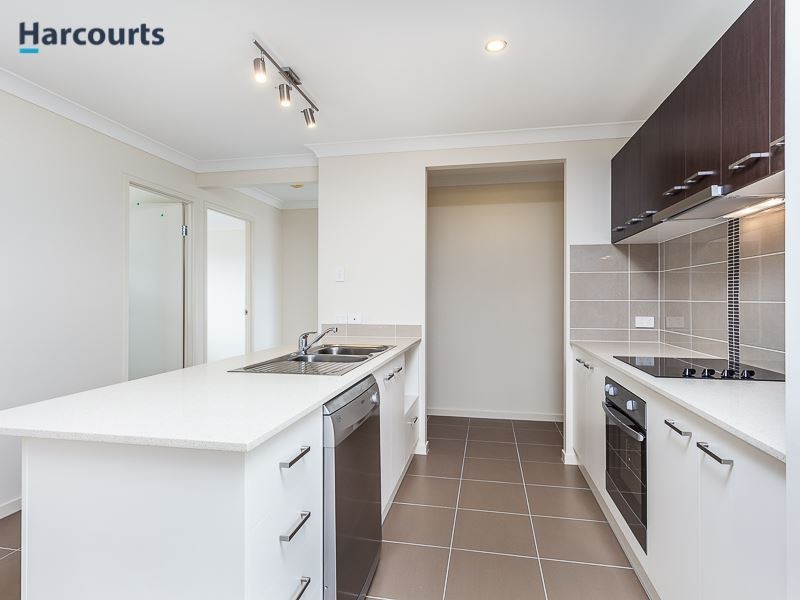 123 Campbell Drive, Mango Hill QLD 4509