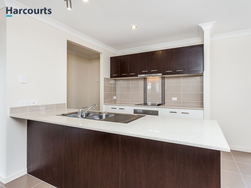 123 Campbell Drive, Mango Hill QLD 4509
