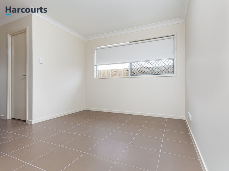 123 Campbell Drive, Mango Hill QLD 4509