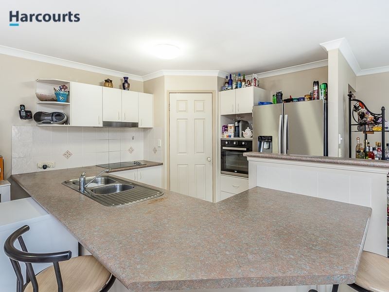 8 Bellongia Street, Mango Hill QLD 4509