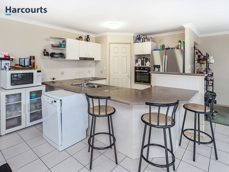 8 Bellongia Street, Mango Hill QLD 4509