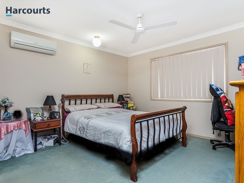 8 Bellongia Street, Mango Hill QLD 4509