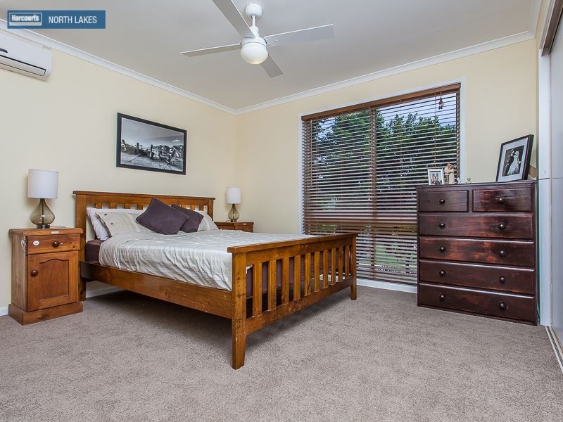 22 Cania Crescent, Petrie QLD 4502