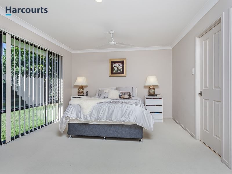 12 Pintail Street, North Lakes QLD 4509