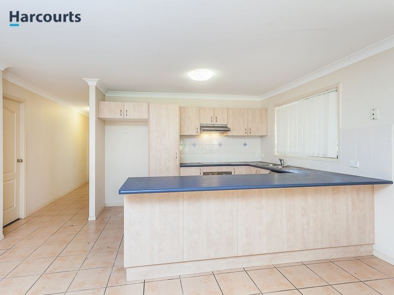 17 Townley Drive, North Lakes QLD 4509