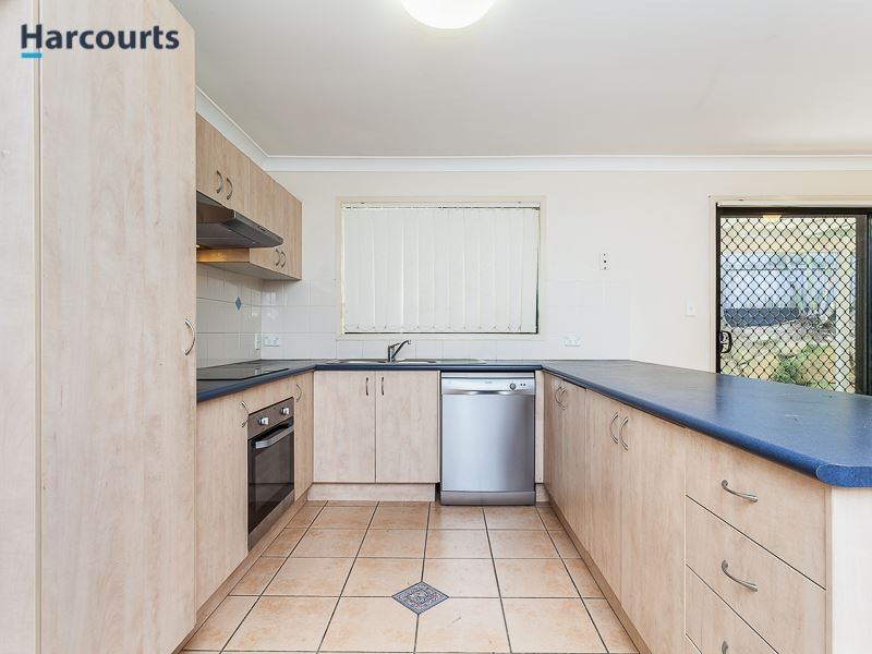 17 Townley Drive, North Lakes QLD 4509