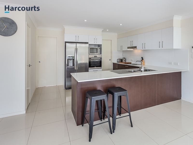 26 Abercrombie Street, Mango Hill QLD 4509