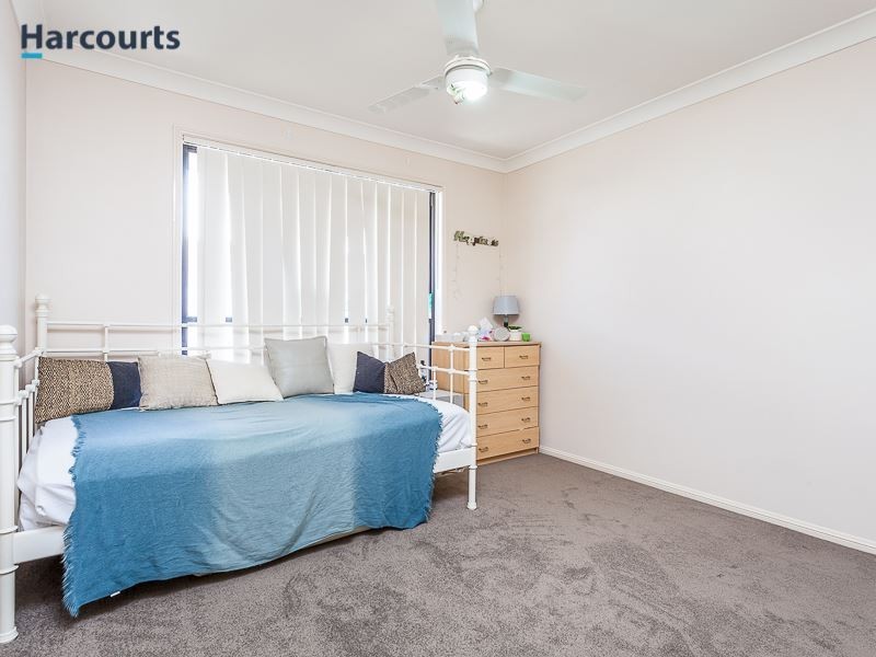 3 Sandpiper Avenue, North Lakes QLD 4509