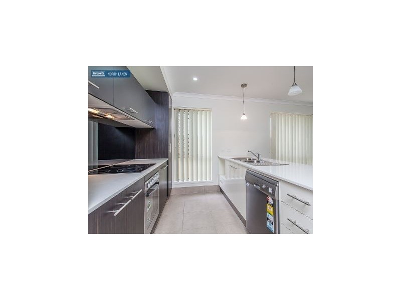 41 Expedition Drive, North Lakes QLD 4509