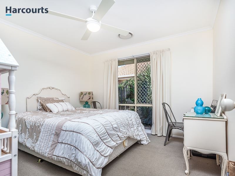 22 Grampion Circuit, North Lakes QLD 4509