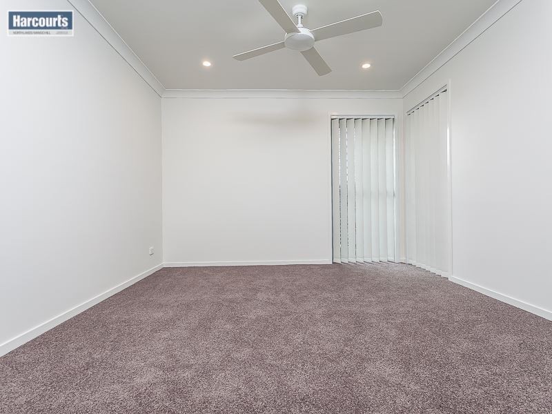 16 Parkhaven Steet, Mango Hill QLD 4509