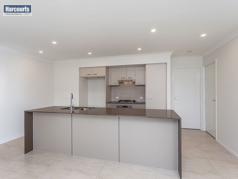 16 Parkhaven Steet, Mango Hill QLD 4509