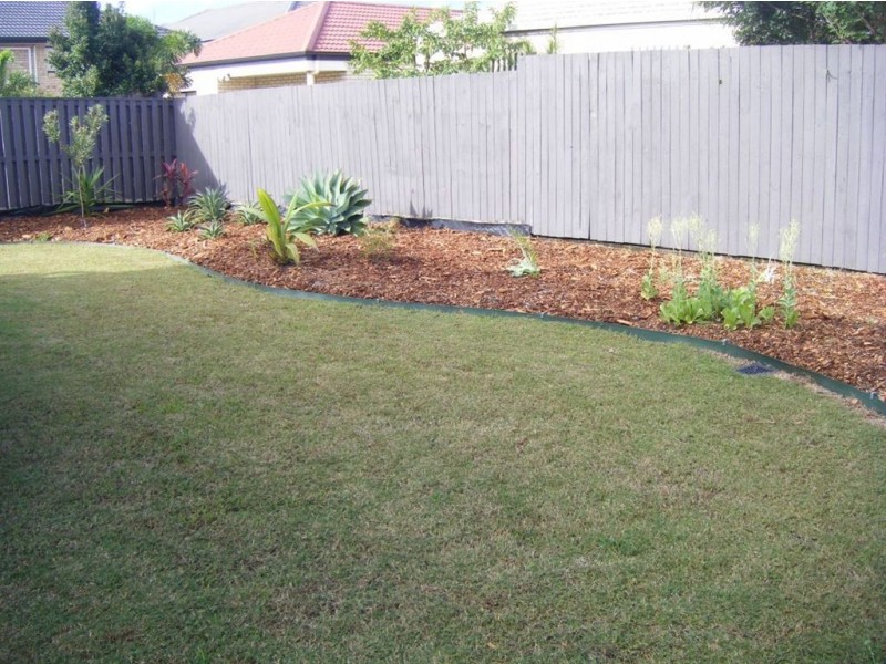 14 Cottonwood Cct, North Lakes QLD 4509