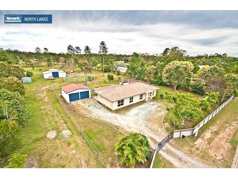 116 Thornbill Drive, Upper Caboolture QLD 4510