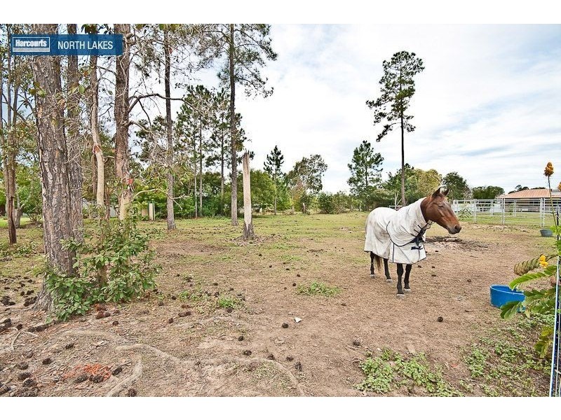 116 Thornbill Drive, Upper Caboolture QLD 4510