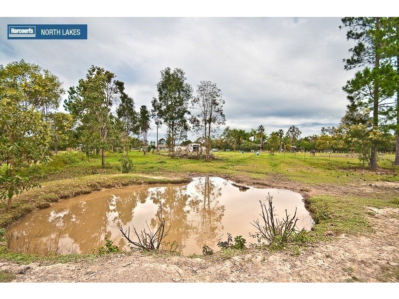 116 Thornbill Drive, Upper Caboolture QLD 4510