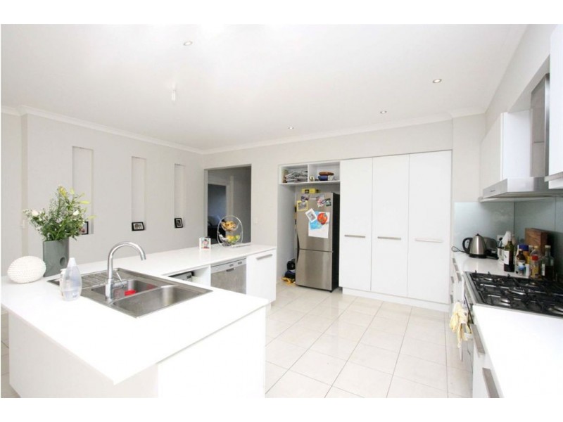 17 Capparis Street, North Lakes QLD 4509