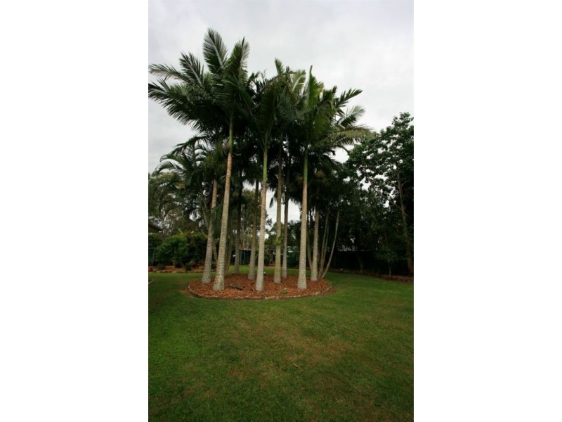 19 Barrington Place, Caboolture QLD 4510