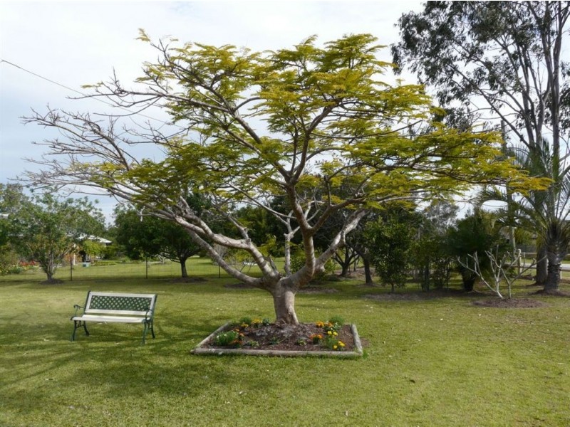 16 Frogmouth Court, Upper Caboolture QLD 4510