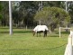 16 Frogmouth Court, Upper Caboolture QLD 4510