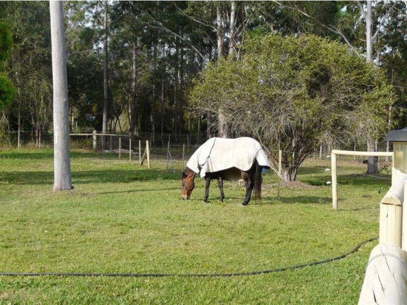 16 Frogmouth Court, Upper Caboolture QLD 4510