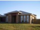 17 Capparis Street, North Lakes QLD 4509