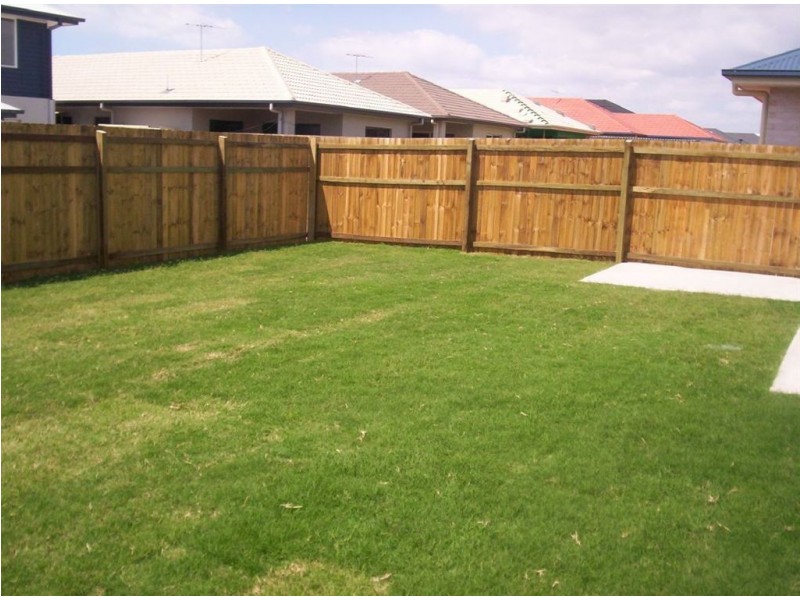 24 Kurrajong Street, North Lakes QLD 4509