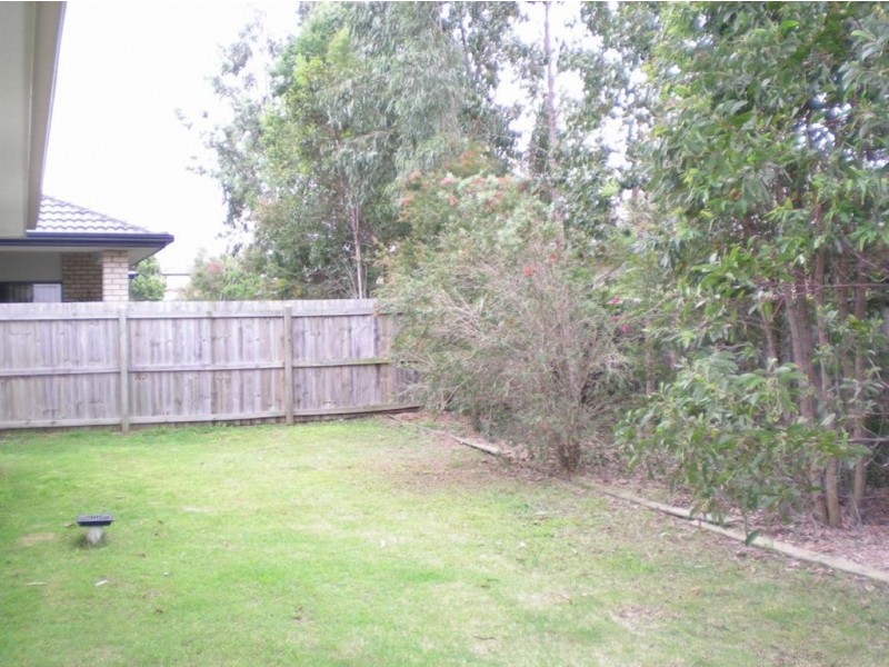 19 Wallaroo Circuit, North Lakes QLD 4509