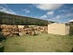 21 Kangaroo Street, North Lakes QLD 4509