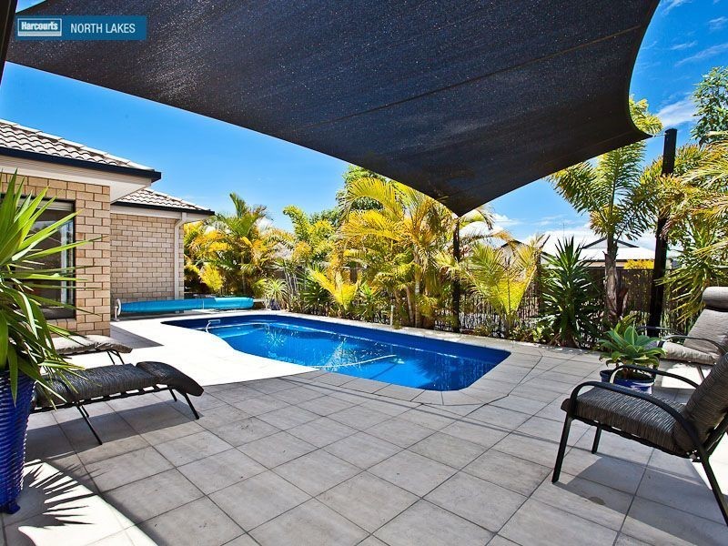 16 Capparis Street, North Lakes QLD 4509