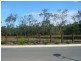 19 Mercury Parade, Mango Hill QLD 4509