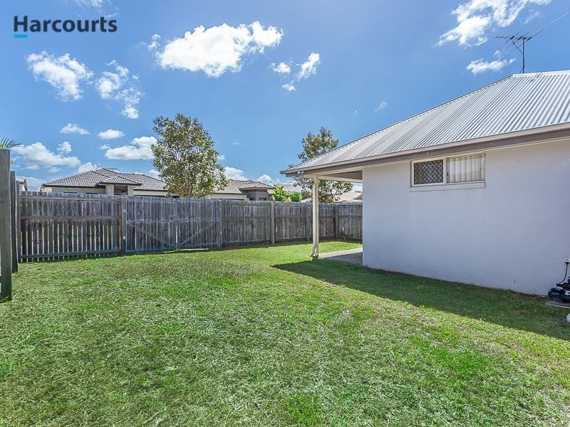 17 Wallaby Street, North Lakes QLD 4509