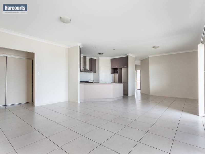 16 Millettia Close, North Lakes QLD 4509