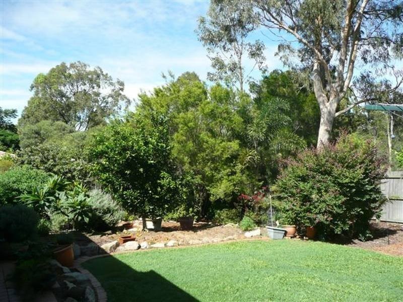 20 Whistler Street, Mango Hill QLD 4509