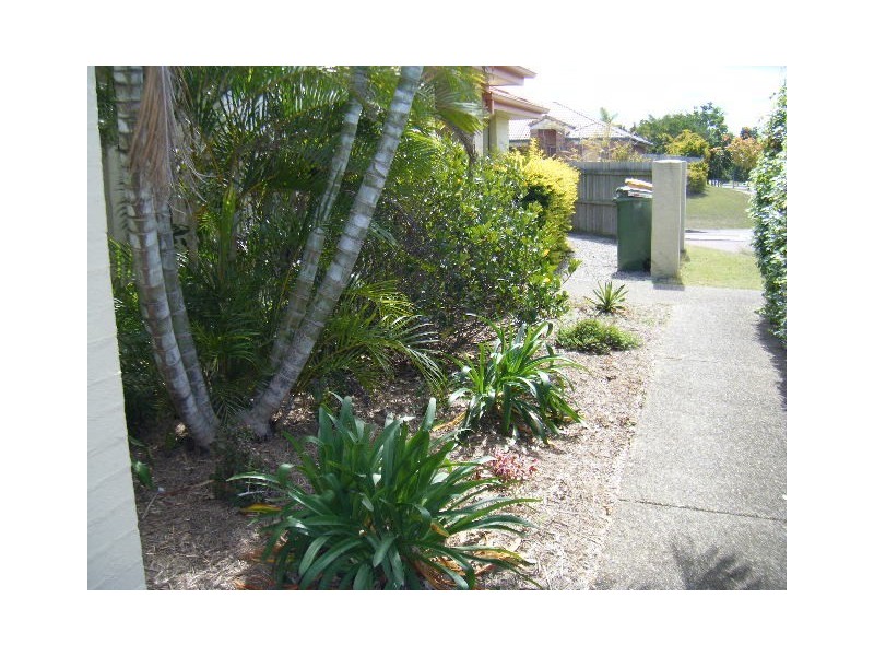 50 Pine Rivers Drive, Murrumba Downs QLD 4503