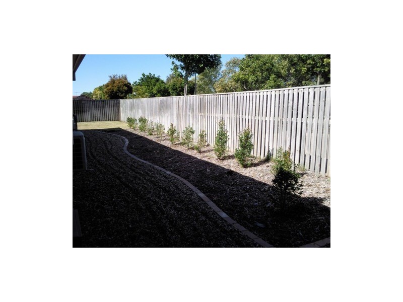 11 Paluma Court, North Lakes QLD 4509