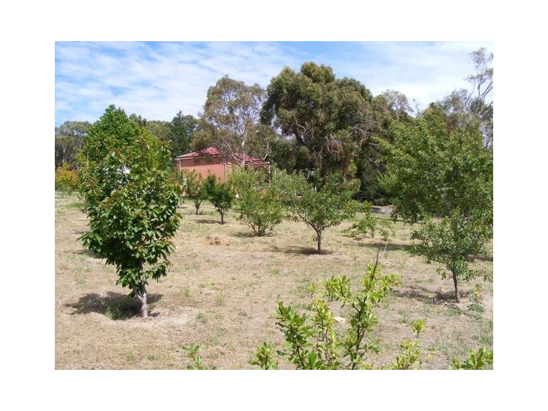 33 Wissell Street, Bridgewater SA 5155