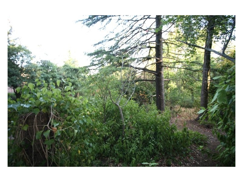 Lot 35 Waverley Ridge Road, Stirling SA 5152