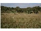 Lot 51 Nestor Road, Macclesfield SA 5153