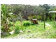 99 Onkaparinga Road, Bridgewater SA 5155