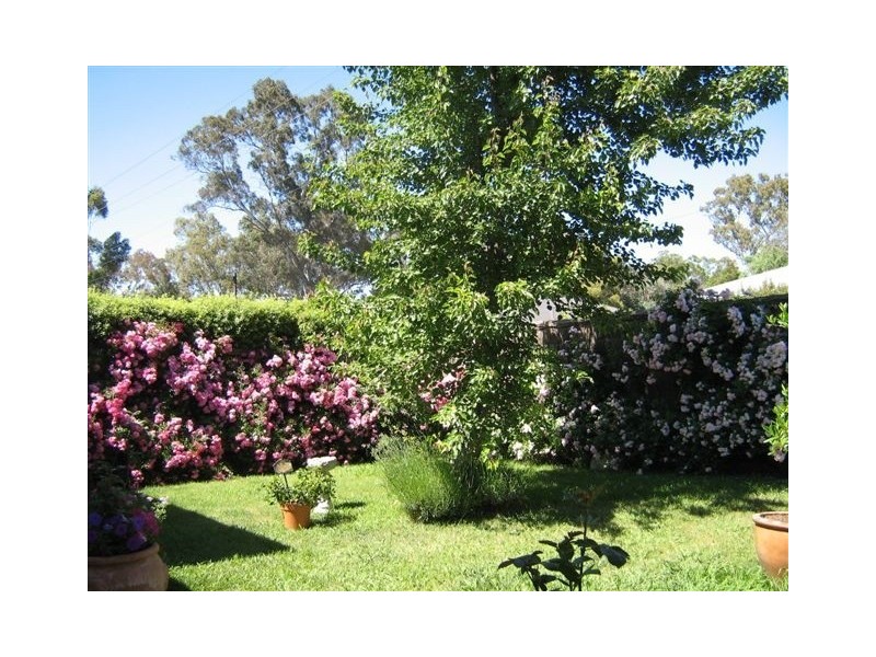 11 Auricht Road, Hahndorf SA 5245