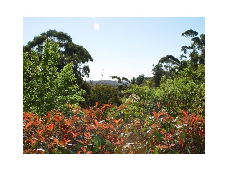 L14 Marble Hill Road, Norton Summit SA 5136