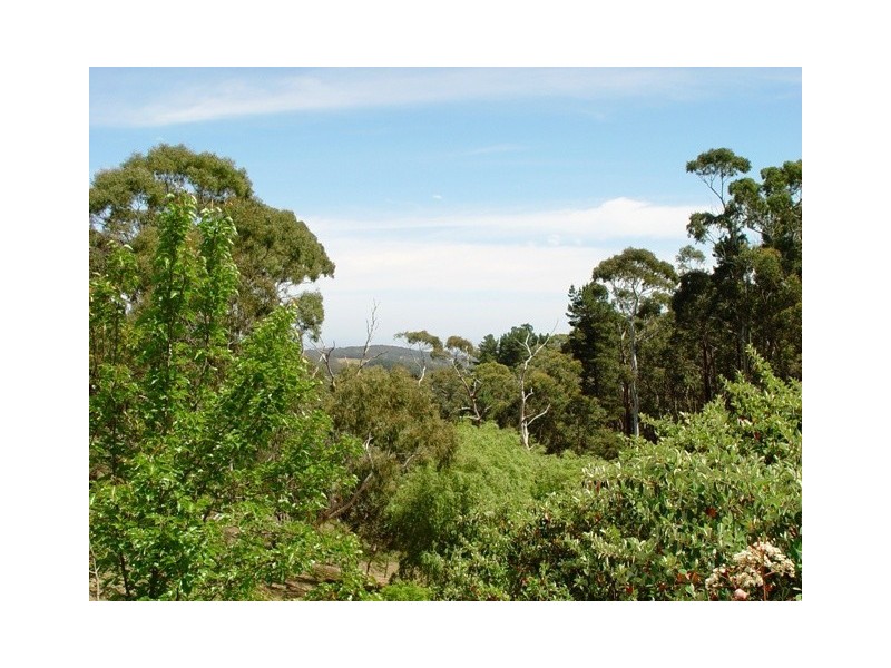 L14 Marble Hill Road, Norton Summit SA 5136