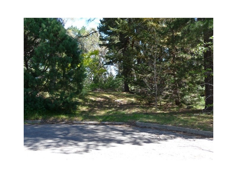 17 Woodland Close, Aldgate SA 5154